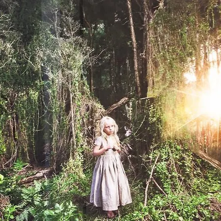 Prinsengracht 公寓 阿姆斯特丹